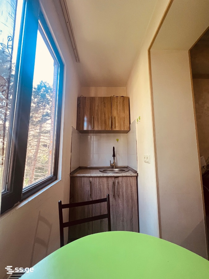 3 Room Flat Daily Rent. Borjomi view 7