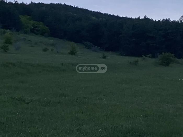 https://static.ss.ge/20260617/12_d686b268-f97c-4df0-9361-00a73c77f035_Thumb.jpg
