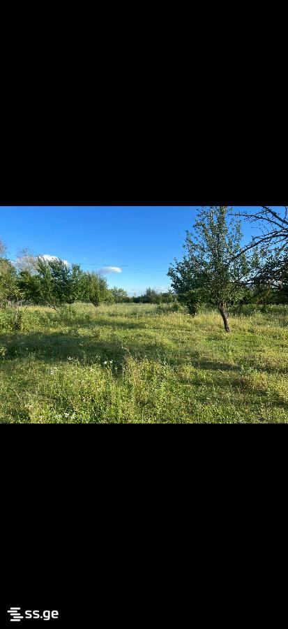 Продажа Земля в мисакциели view 3