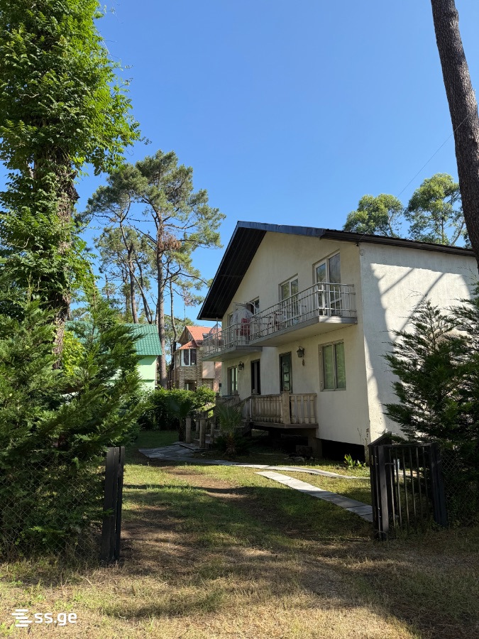 4 Room Private House Daily Rent. Grigoleti view 12
