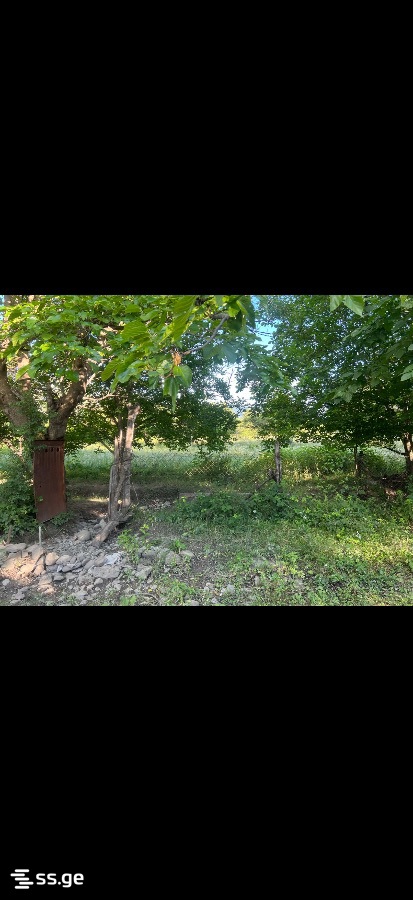 Продажа Земля в мисакциели view 1