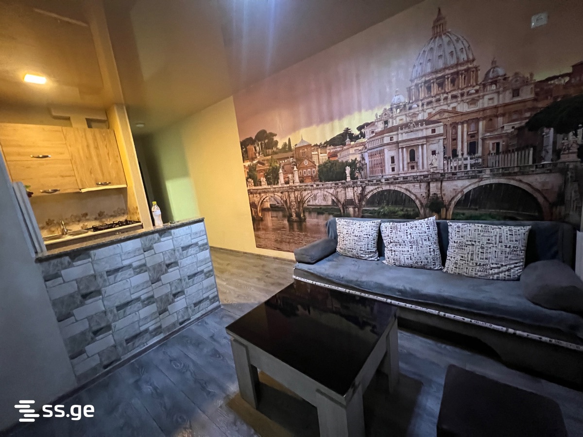 2 Room Flat Daily Rent. Gldani view 8