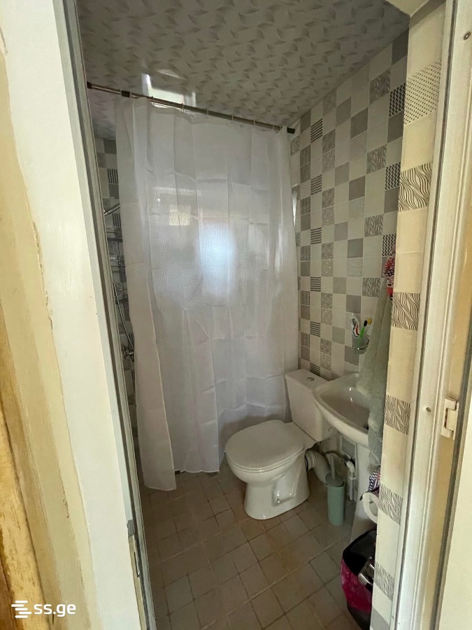 5 Room Summer Cottage Daily Rent. Grigoleti view 8