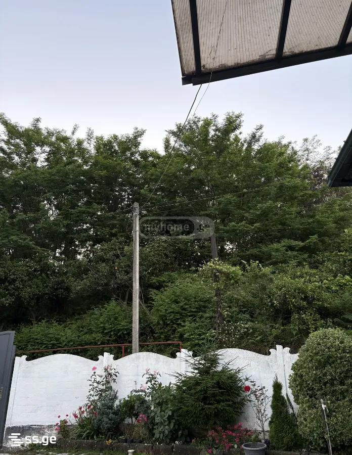 3 Room Private House Daily Rent. Batumi view 12