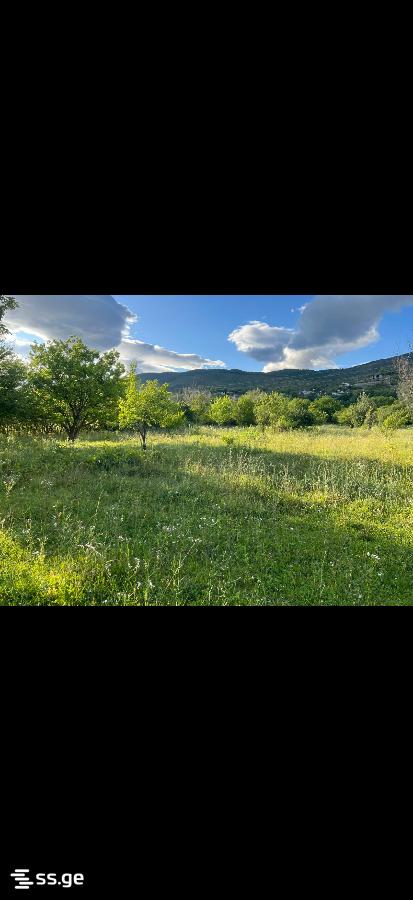 Продажа Земля в мисакциели view 4