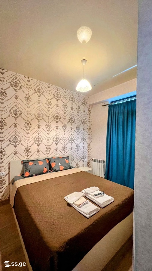 2 Room Flat Daily Rent. Nadzaladevi view 2