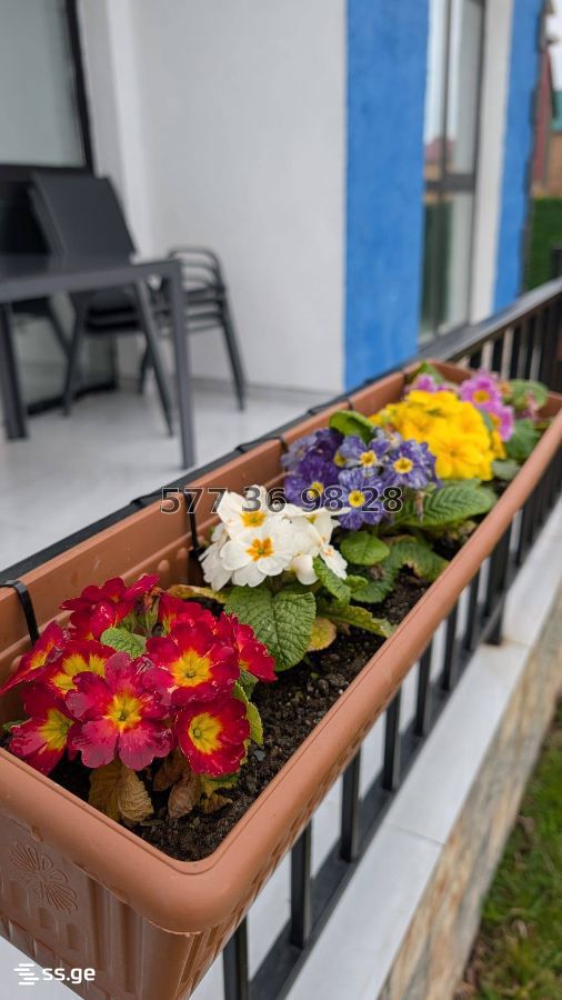 3 Room Private House For Rent. Grigoleti view 12