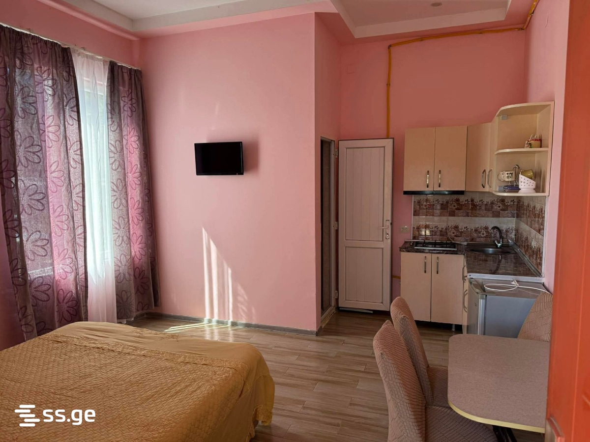 1 Room Flat Daily Rent. Ureki view 6