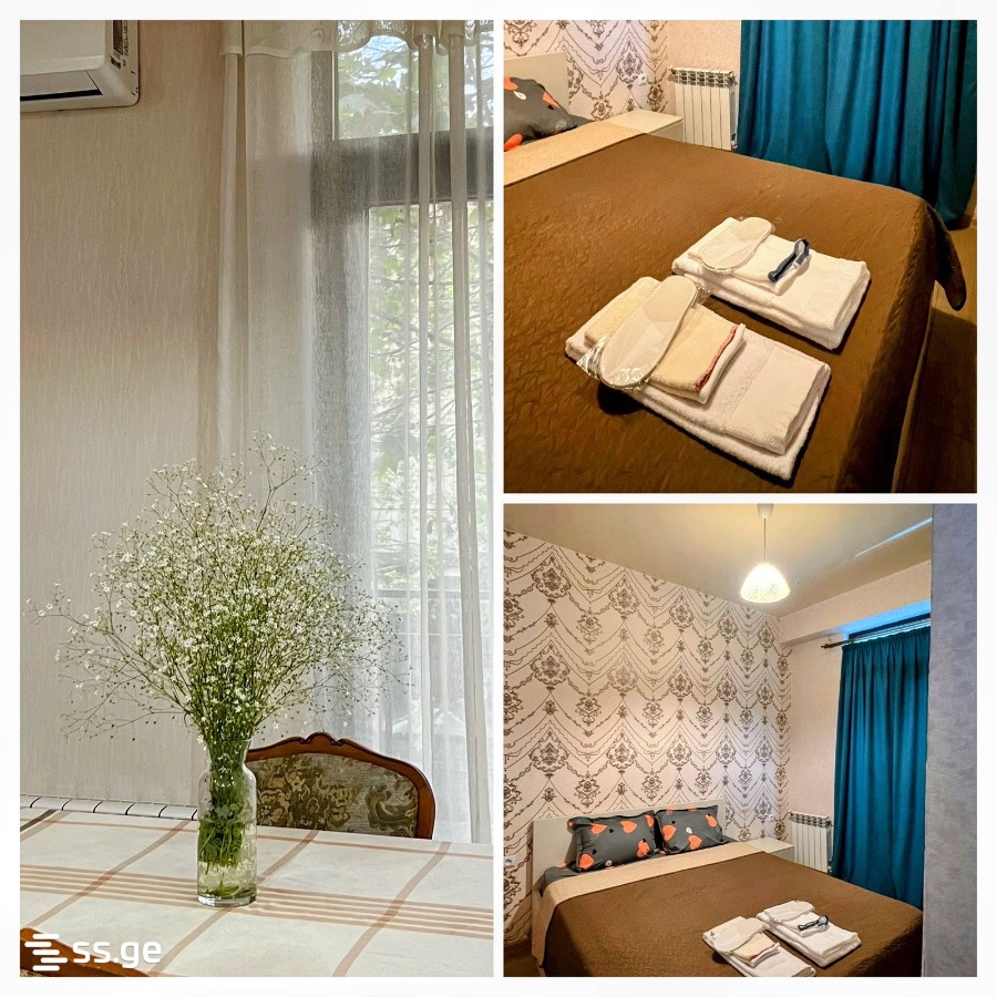 2 Room Flat Daily Rent. Nadzaladevi view 1