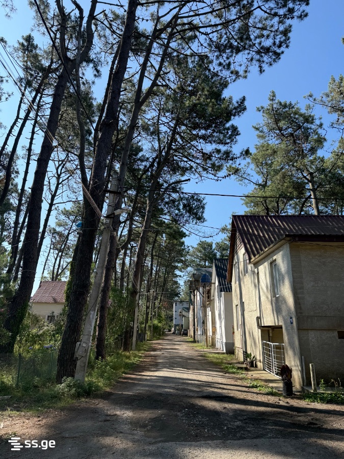 4 Room Private House Daily Rent. Grigoleti view 14