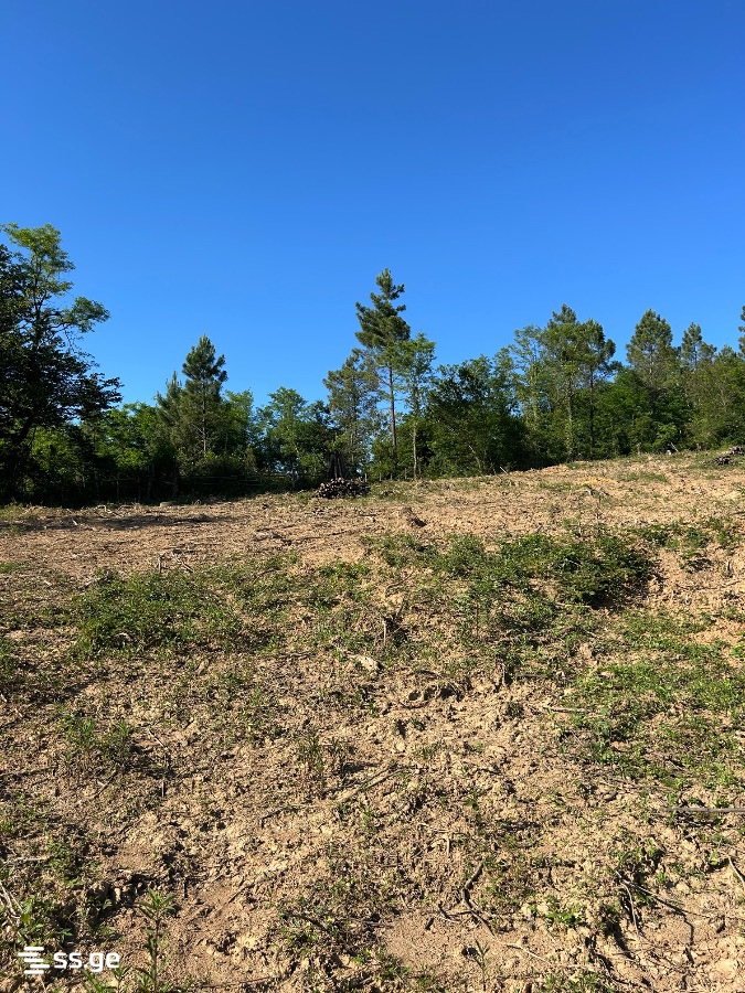 Land For Sale. Kutaisi, 4 of 4