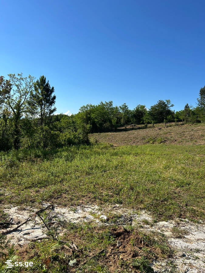 Land For Sale. Kutaisi view 7