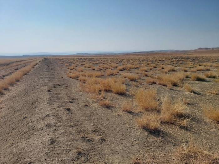 Land For Sale. Zemo Machkhaani