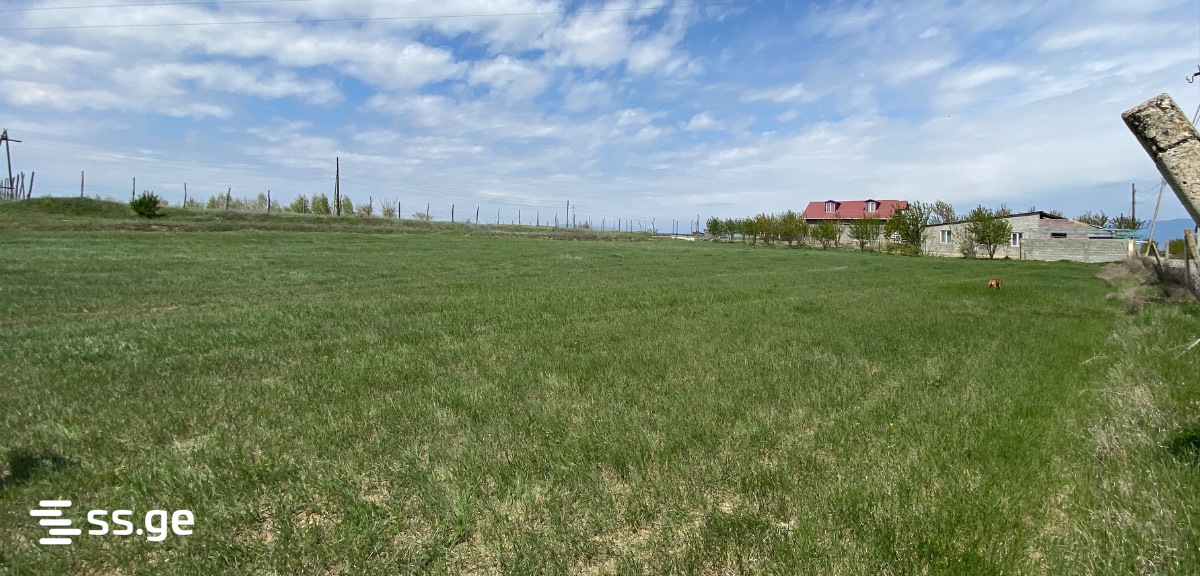 Land For Rent. Gori view 1