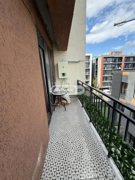 https://static.ss.ge/20260618/12_6ae1a60d-438d-4631-9a16-bcbec643e6af_Thumb.jpg