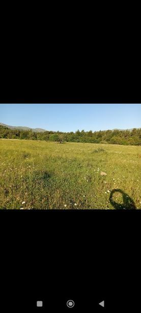 Land For Sale. Bakurianis Andeziti