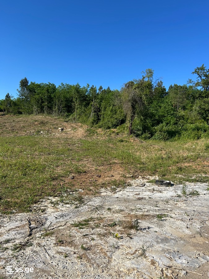Land For Sale. Kutaisi view 2