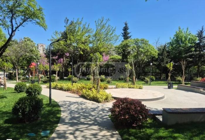 https://static.ss.ge/20260618/13_65dc0b12-8e60-4d5f-a643-48651221245f_Thumb.jpg