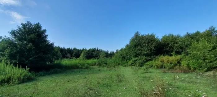 Land For Sale. Ganmukhuri