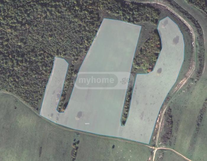Land For Sale. Pasanauri