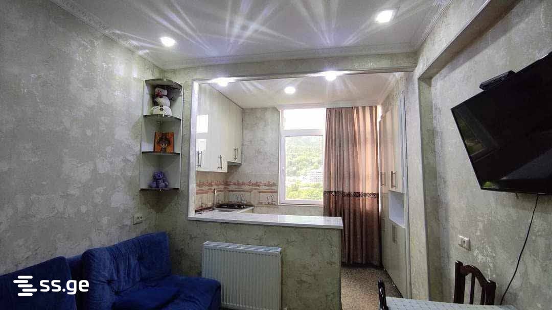2 Room Flat Daily Rent. Borjomi view 10