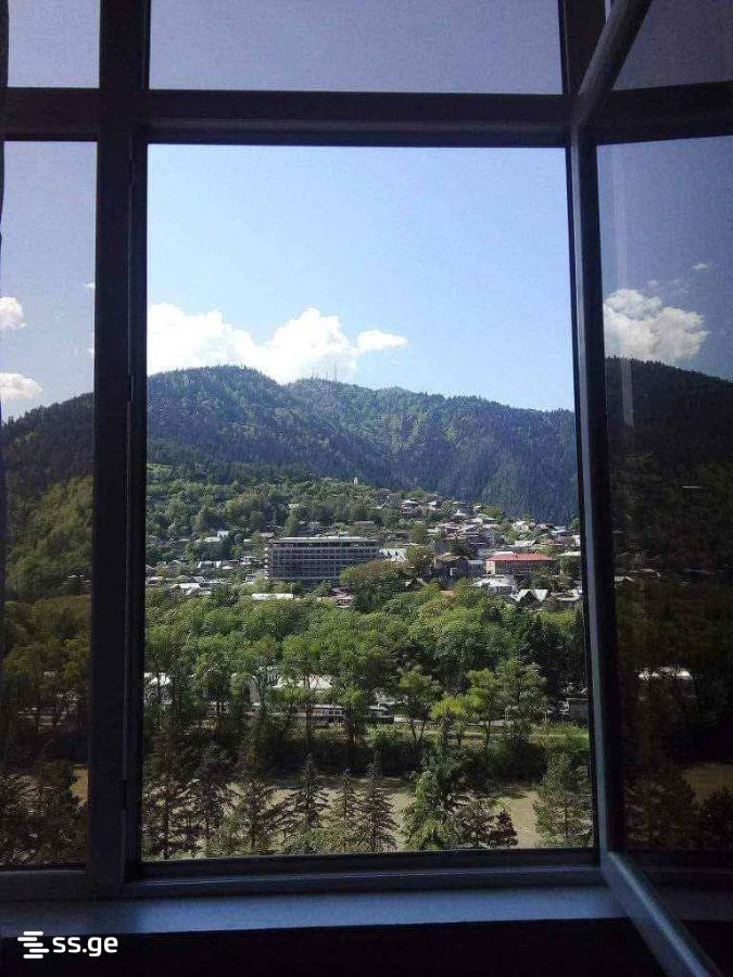 2 Room Flat Daily Rent. Borjomi view 8