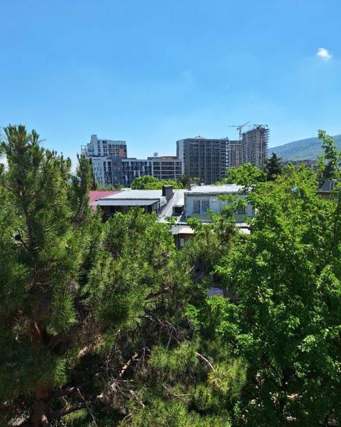 https://static.ss.ge/20260618/17_e8315293-d55b-4371-8c79-0e064c503e0e_Thumb.jpg