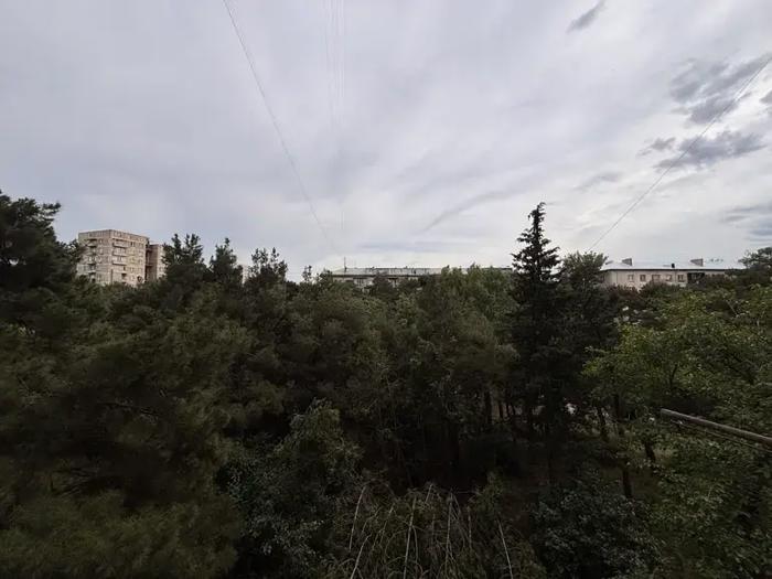 https://static.ss.ge/20260618/18_22c99a8f-0924-4d09-8be2-ec12e28cb50d_Thumb.jpg