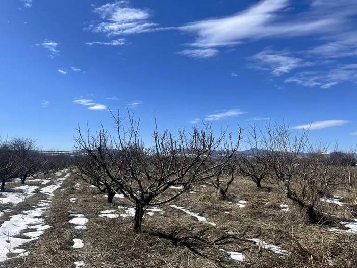 Land For Sale. Velistsikhe