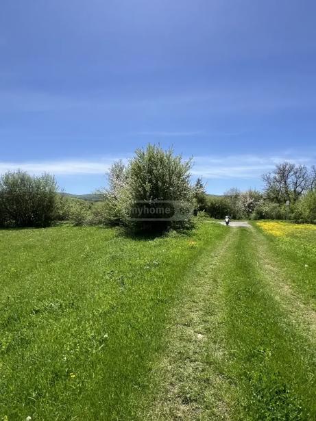 Land For Sale. Ghulelebi