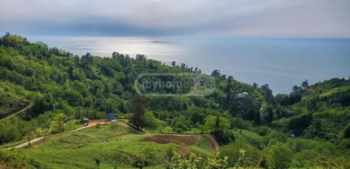 Land For Sale. Sarpi