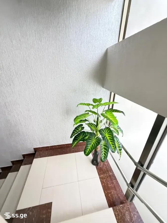 70 Room Hotel For Rent. Batumi, 4 of 4