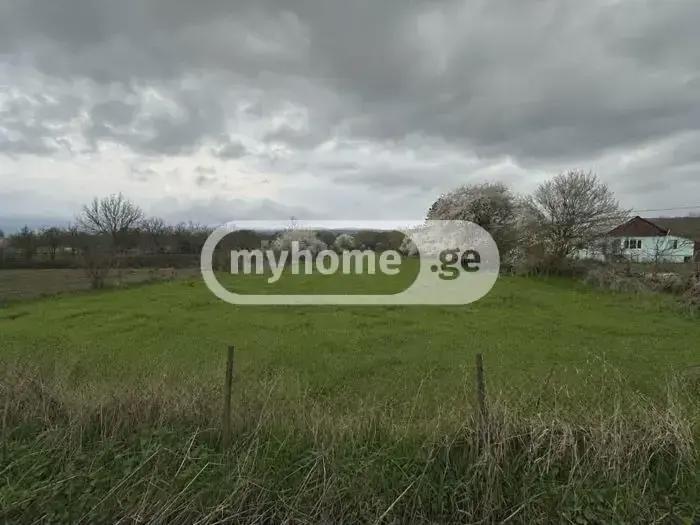 Land For Sale. Ghulelebi
