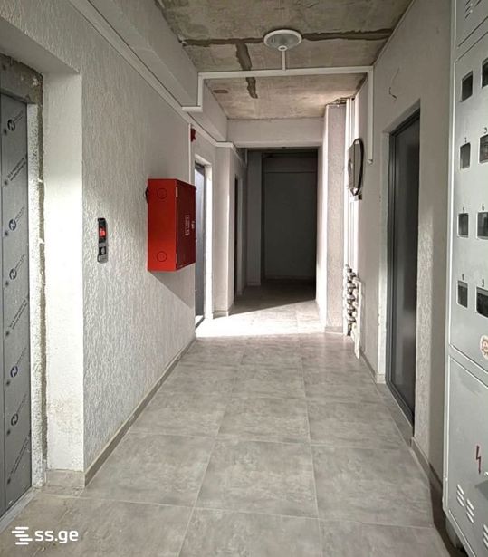 https://static.ss.ge/20260618/4_863ecc1c-ef90-4dc5-a6a5-eda0d4efd7e1_Thumb.jpg