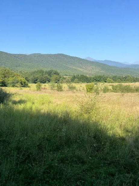 Land For Sale. Gremi