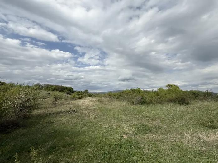 Land For Sale. Pasanauri