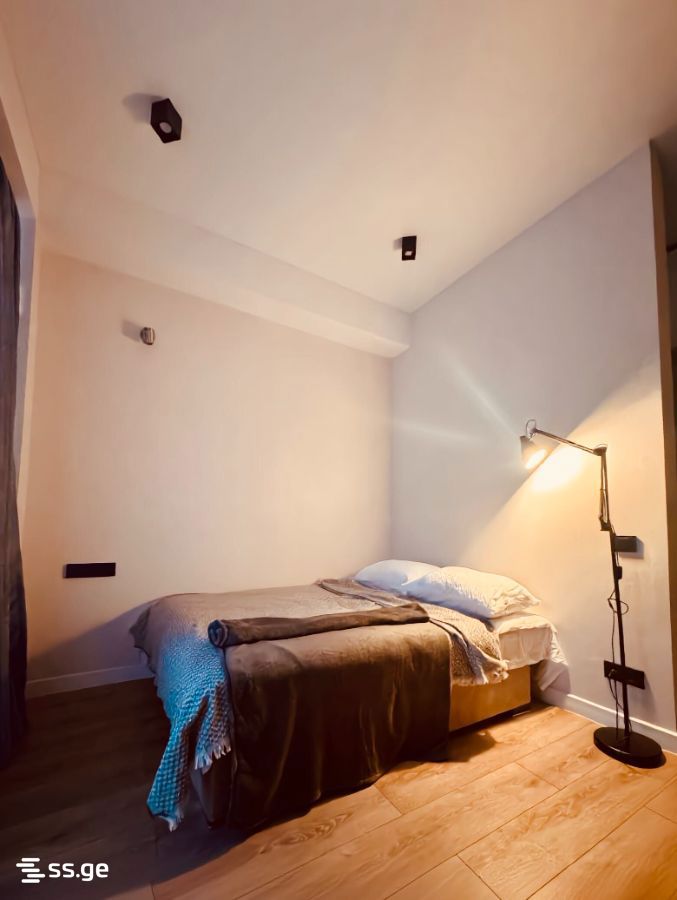 2 Room Flat Daily Rent. Didi Digomi, 2 of 4