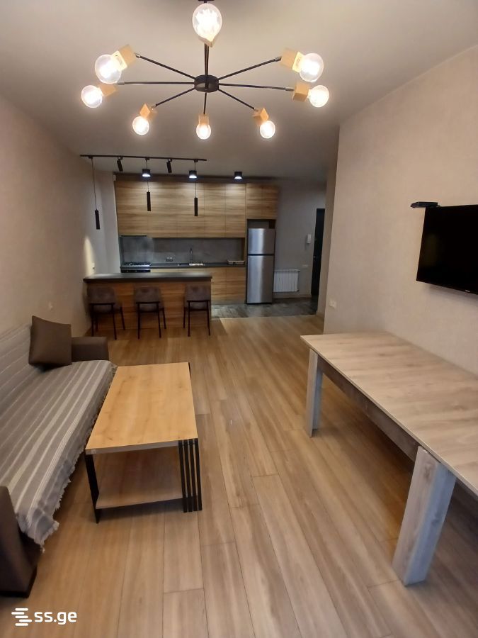 2 room Flat Daily rent. Didi digomi - Ansicht 4