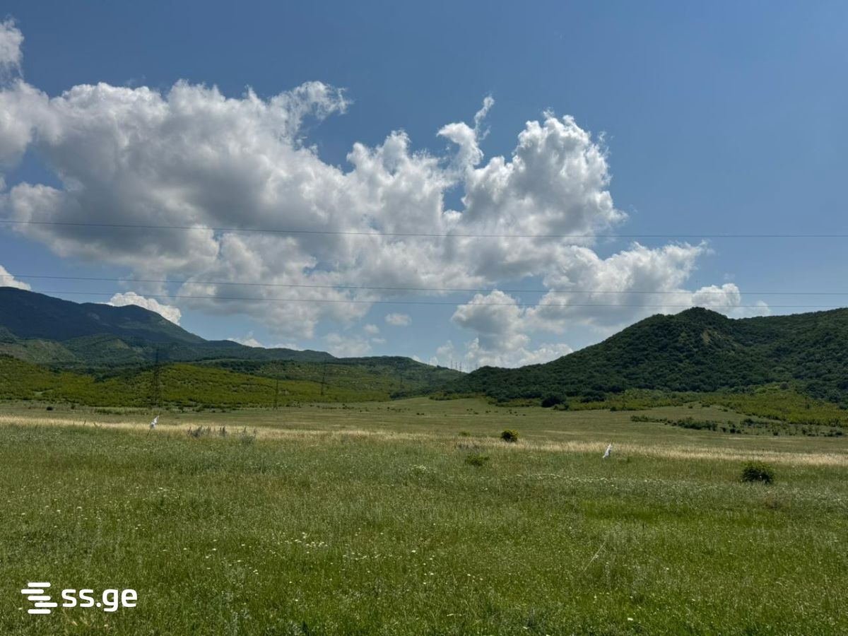 Land For Sale. Saguramo - Widok 6
