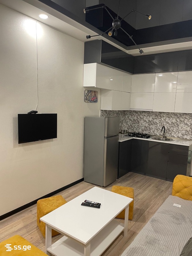 2 room Flat Daily rent. Didi digomi – pohled 3