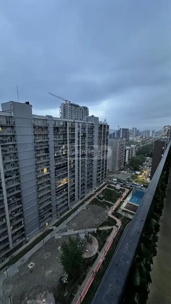 https://static.ss.ge/20260619/15_0275d886-9031-42f7-a502-98dbbadc3cba_Thumb.jpg