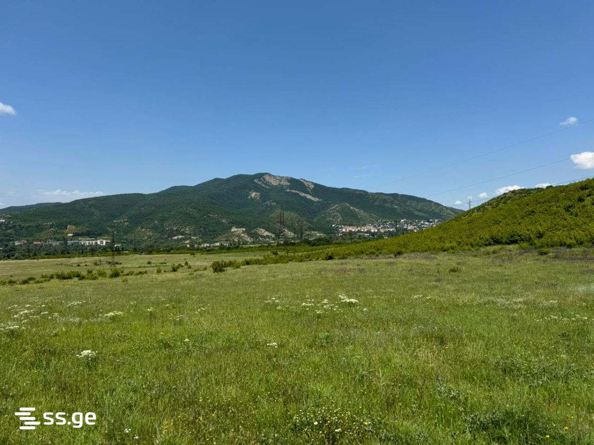 Land For Sale. Saguramo - Widok 3