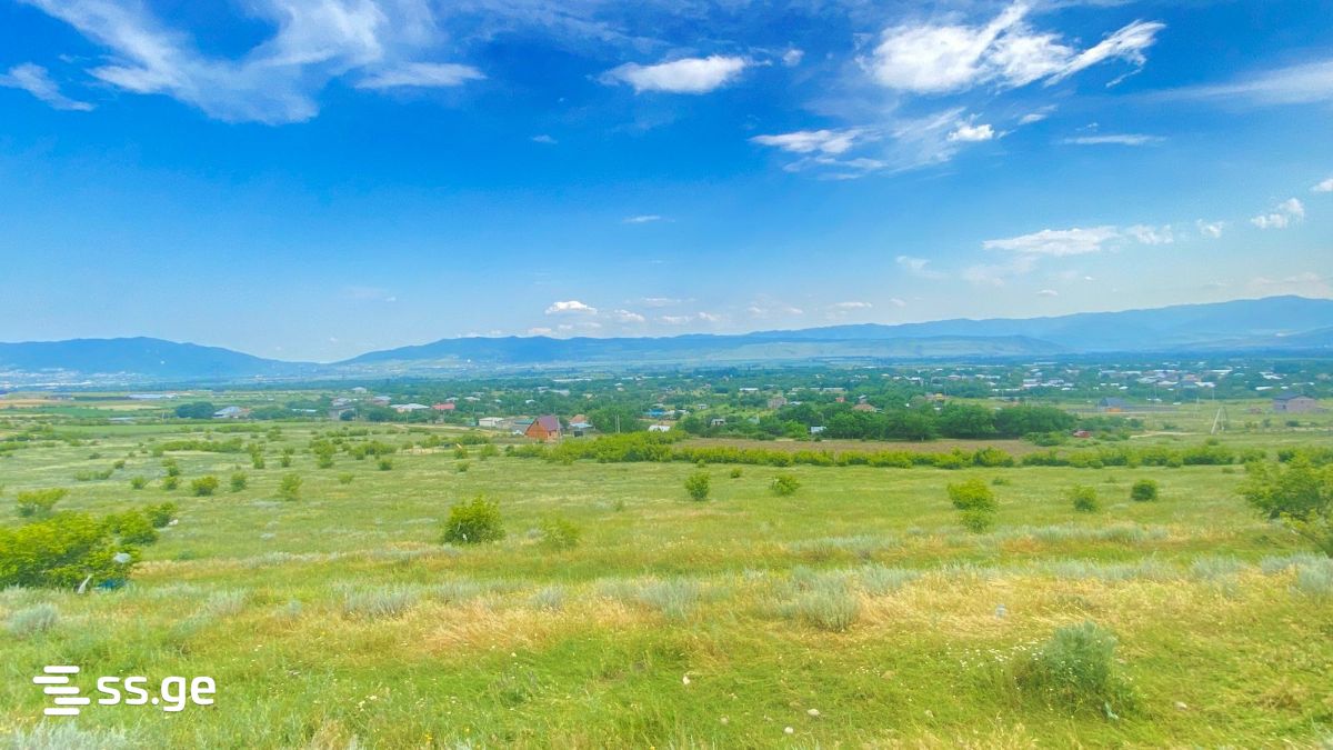 Land For Sale. Mtskheta, 2 of 4