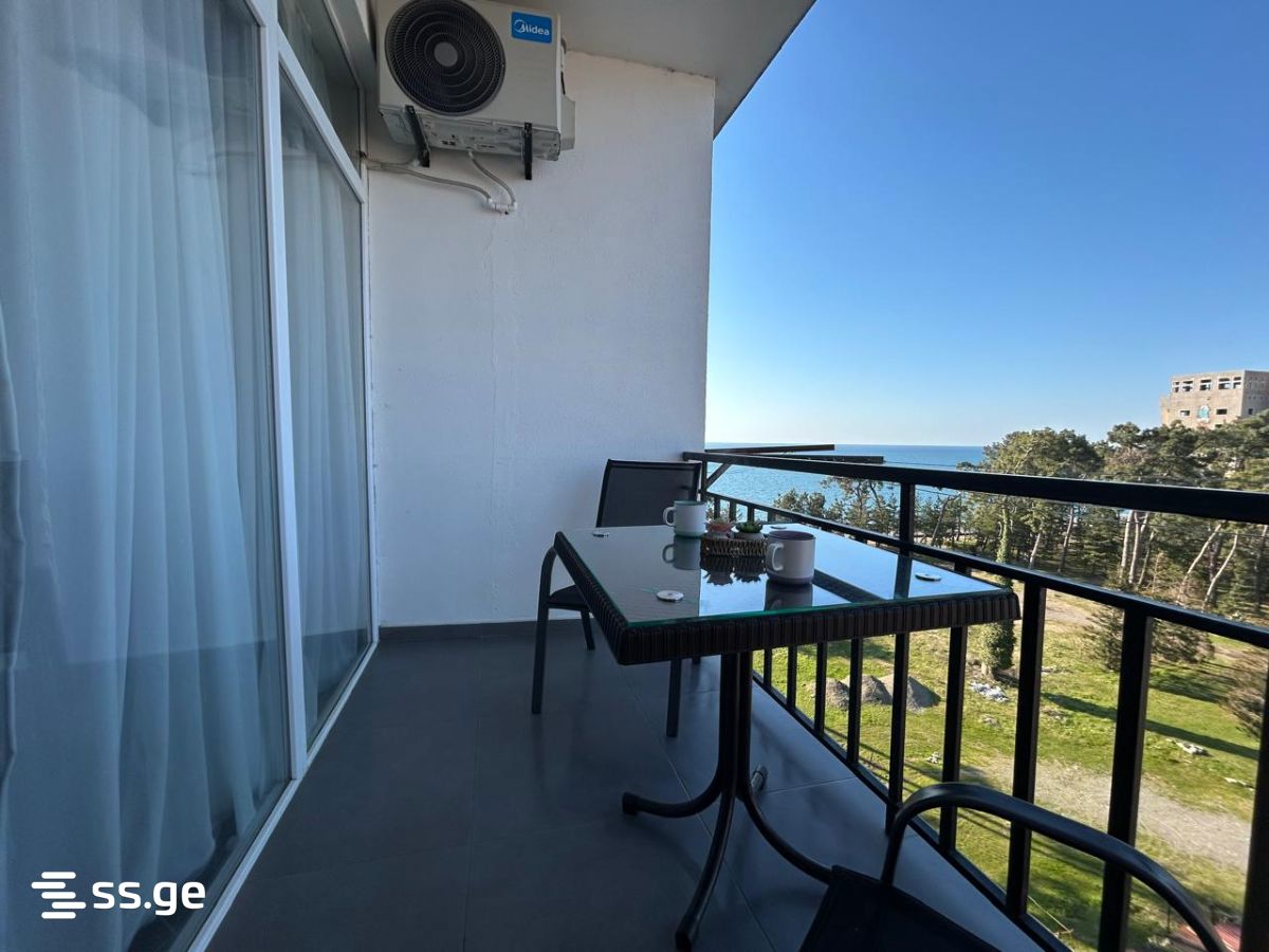 1 Room Flat Daily Rent. Kobuleti view 8