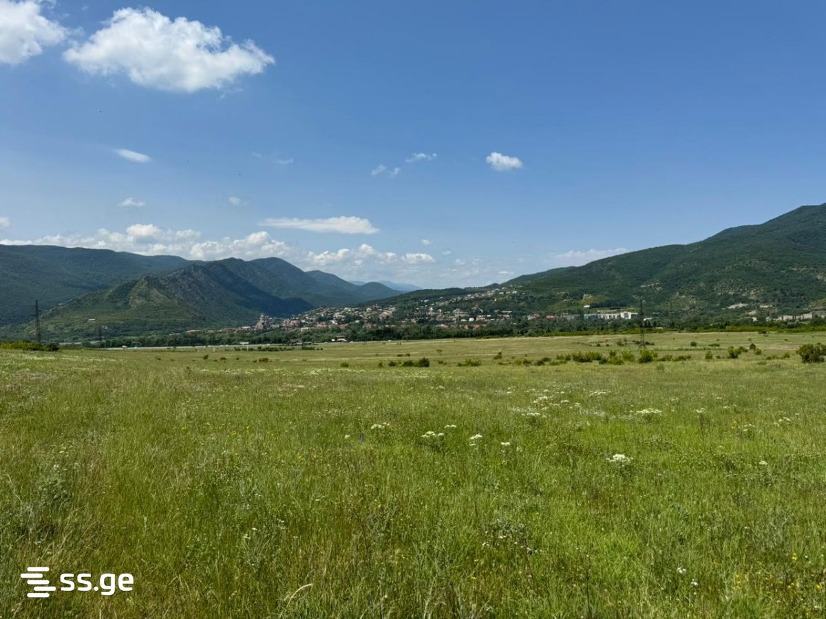 Land For Sale. Saguramo - Widok 4