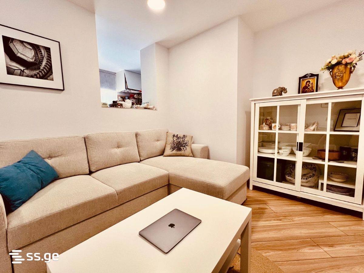 7 Room Private House For Rent. Mtskheta view 8