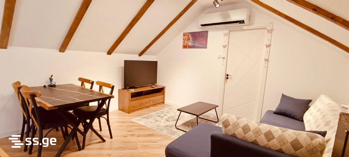 7 Room Private House For Rent. Mtskheta view 10