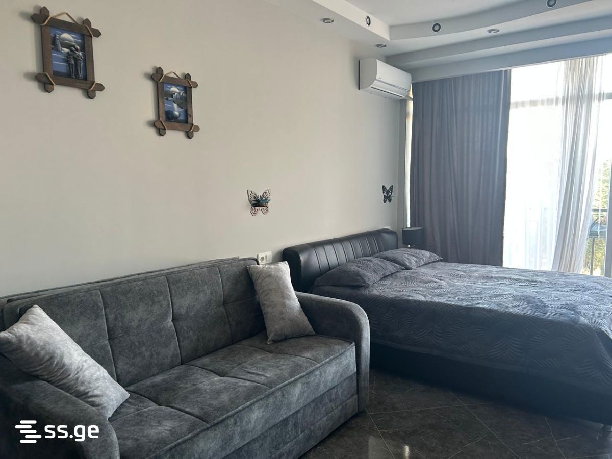1 Room Flat Daily Rent. Kobuleti view 3