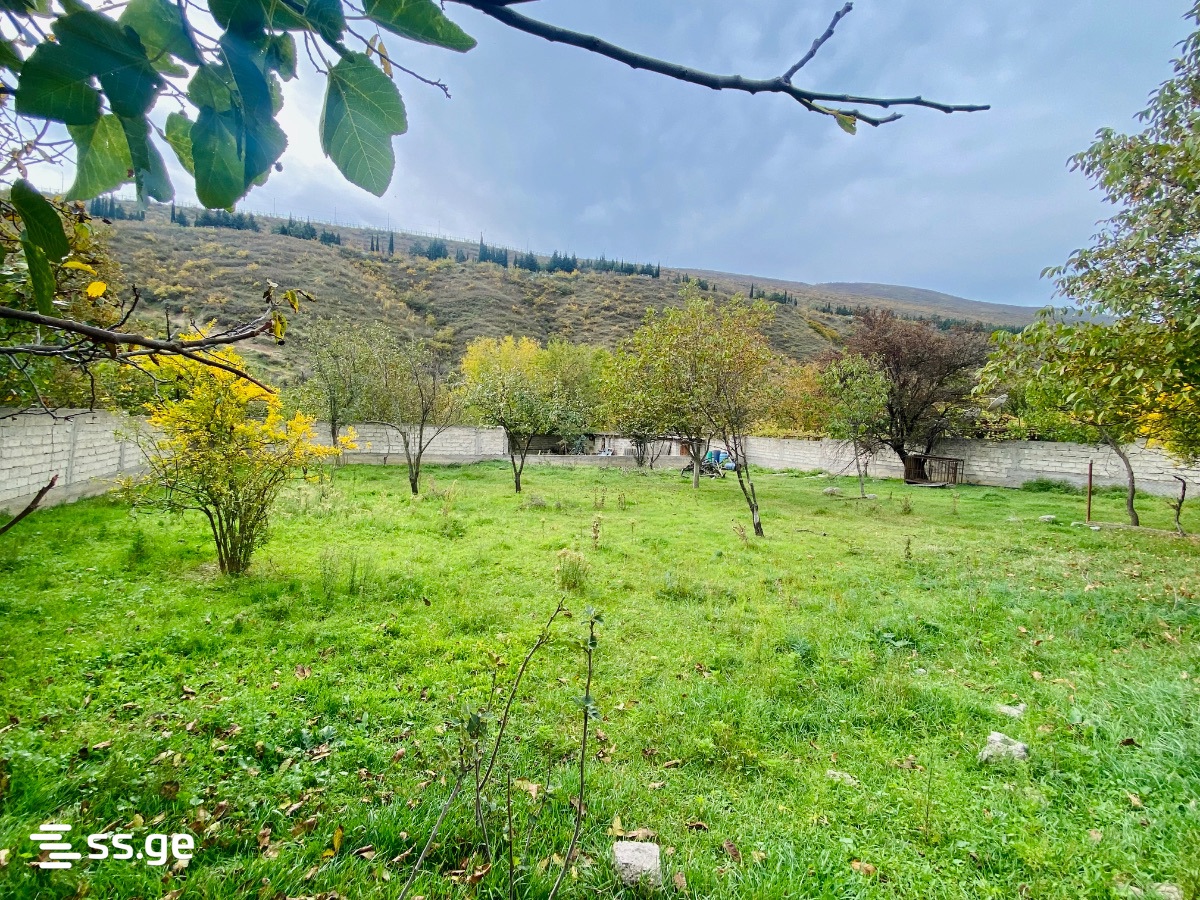 Land For Rent. Digomi Village view 2
