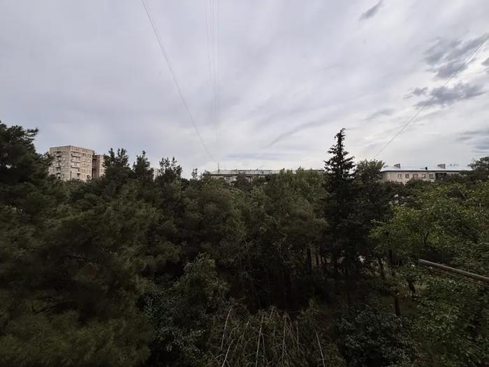 https://static.ss.ge/20260619/6_bc514da1-254e-467c-93a4-71029124bc53_Thumb.jpg